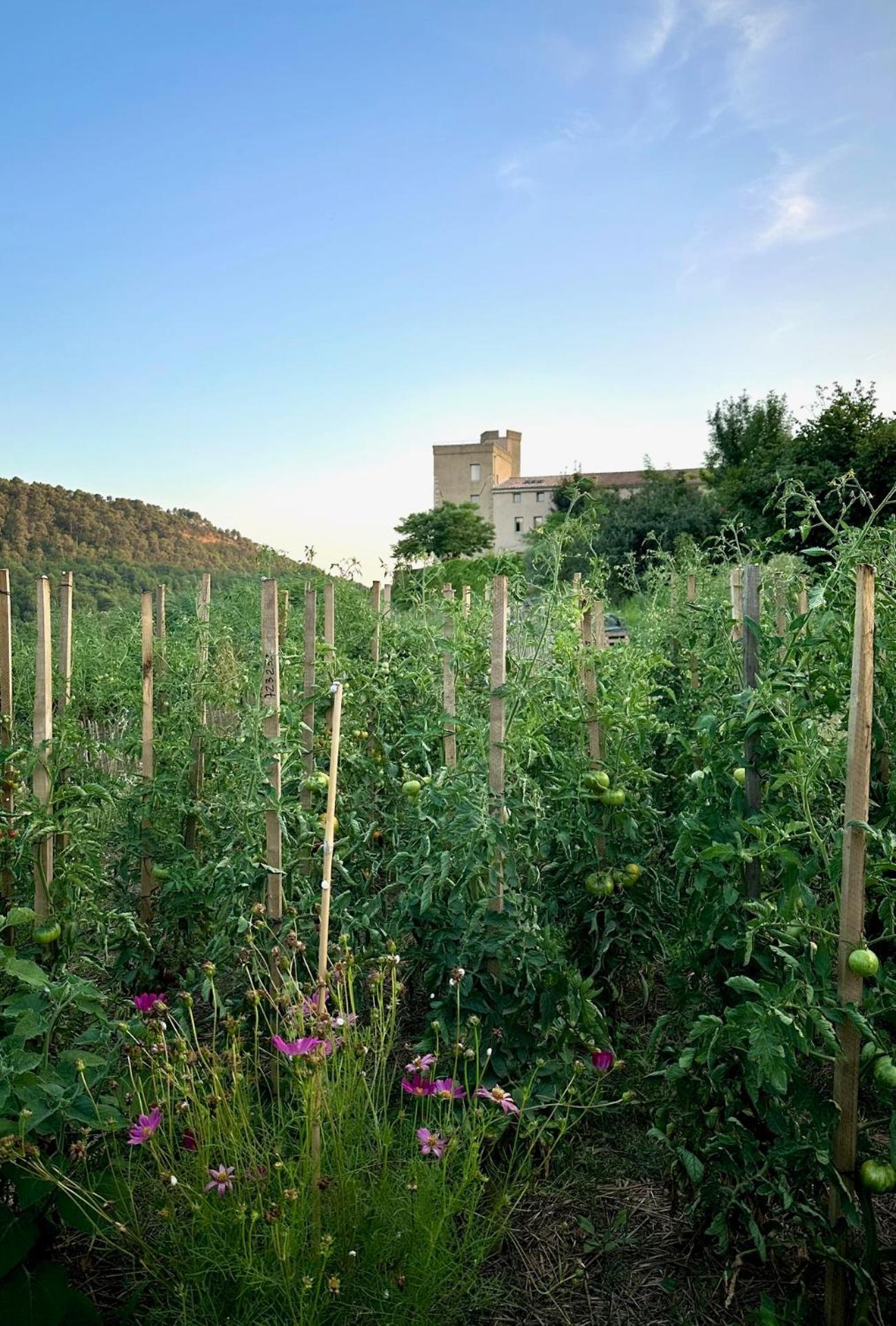 مبيت وإفطار Villelaure Domaine La Ferme Hi Bride المظهر الخارجي الصورة