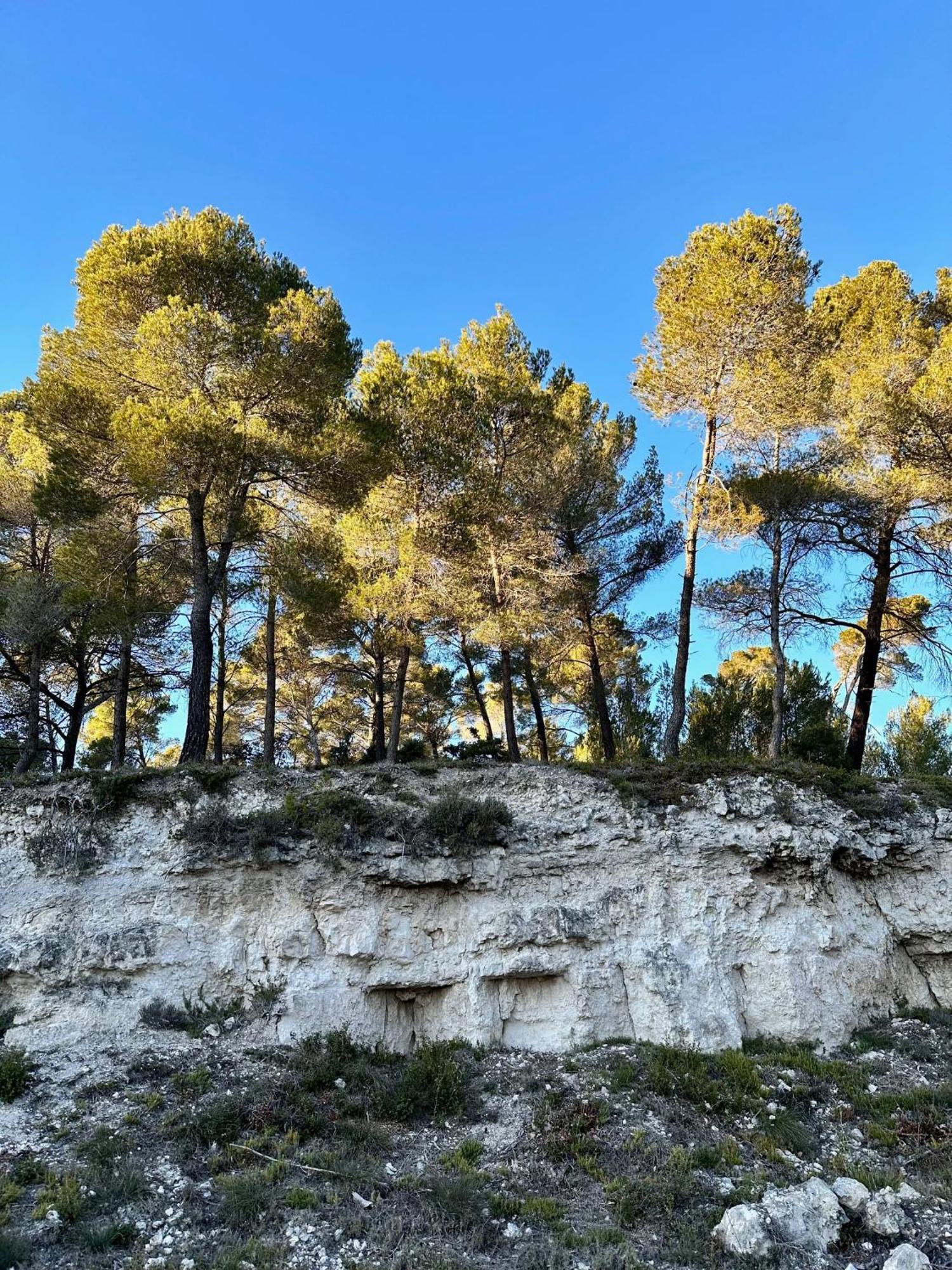 مبيت وإفطار Villelaure Domaine La Ferme Hi Bride المظهر الخارجي الصورة