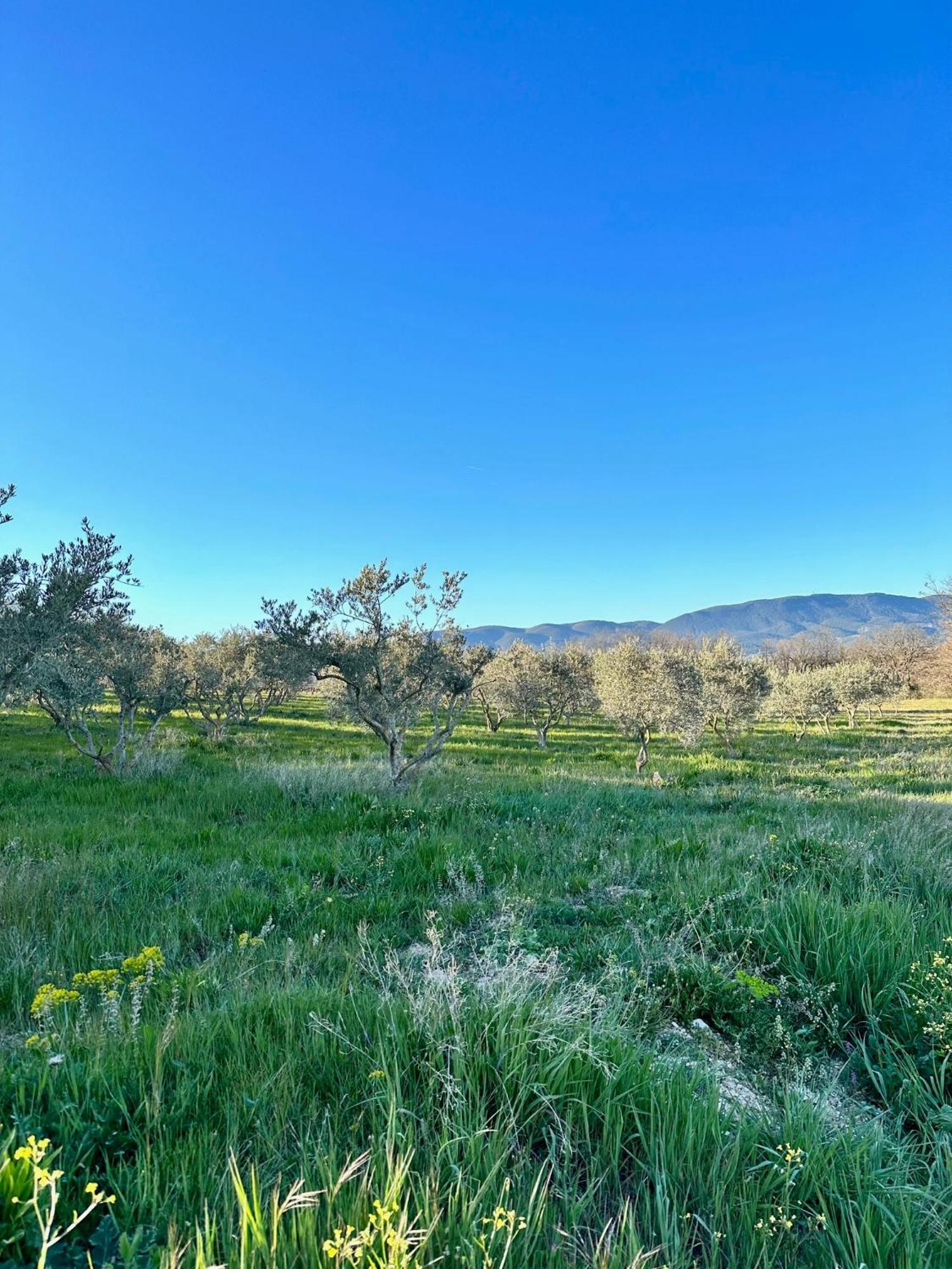 مبيت وإفطار Villelaure Domaine La Ferme Hi Bride المظهر الخارجي الصورة